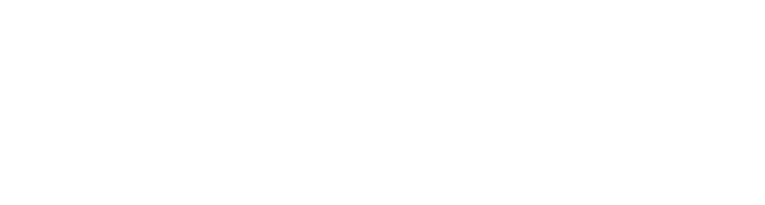 Mailchimp_Logo-Horizontal_White